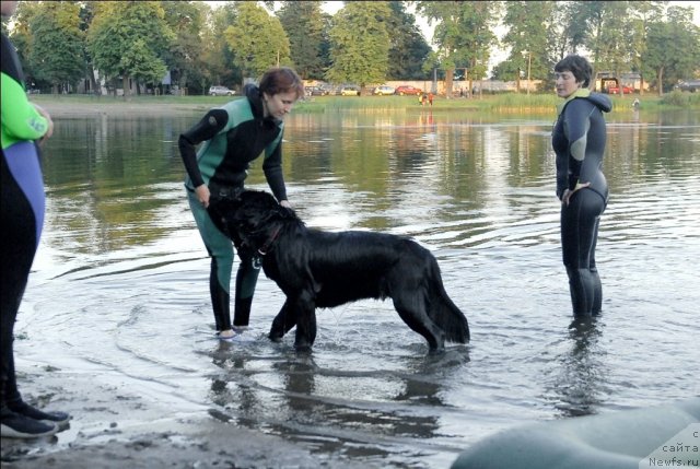 Фотография № 71902