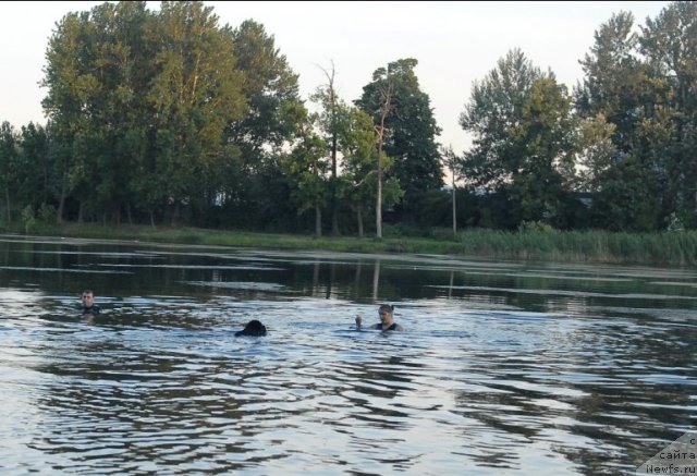 Фотография № 71908