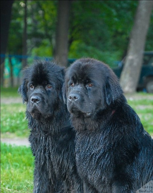 Фотография № 71914