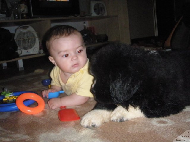 Фотография № 71928