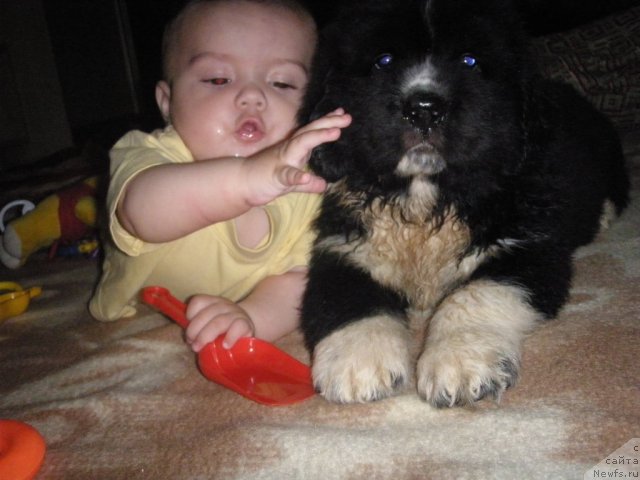 Фотография № 71930