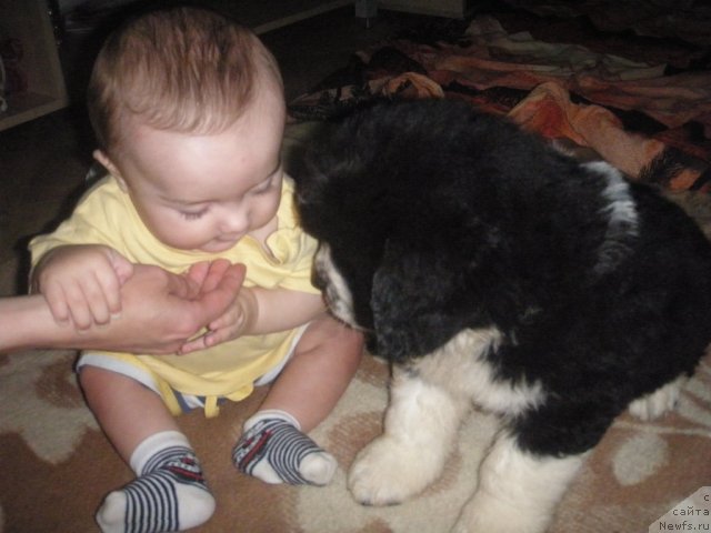 Фотография № 71938