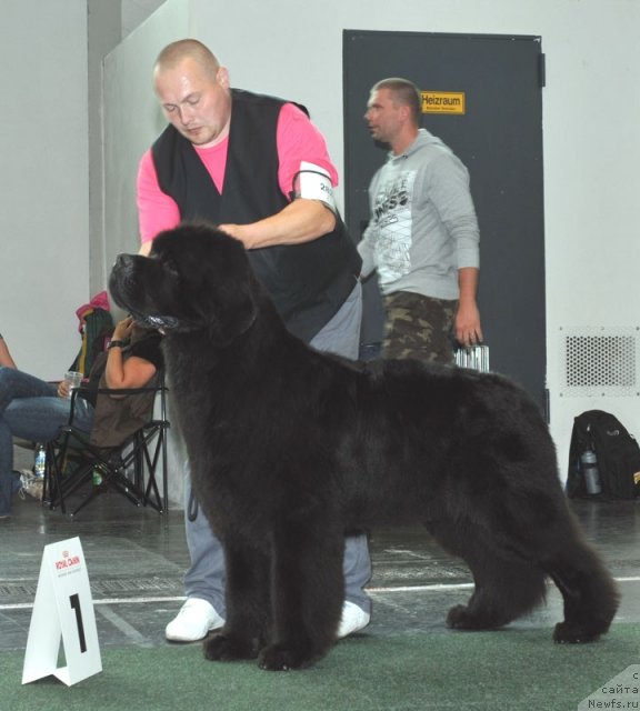 Фотография № 71939