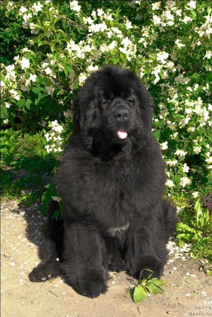 Фотография № 71944