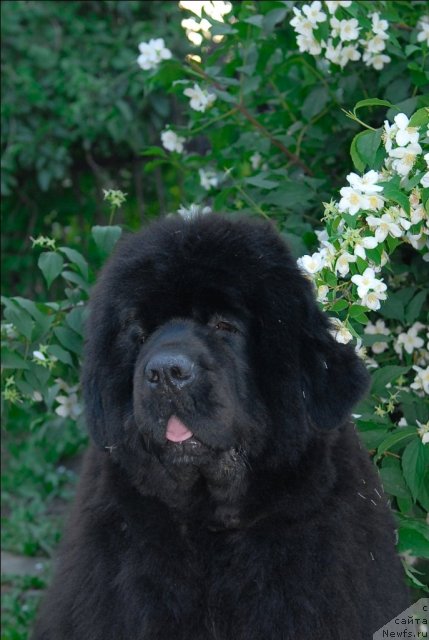 Фотография № 71946