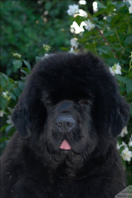 Фотография № 71951