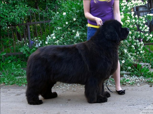 Фотография № 71957