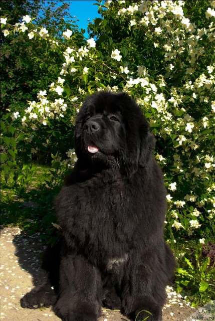 Фотография № 71964