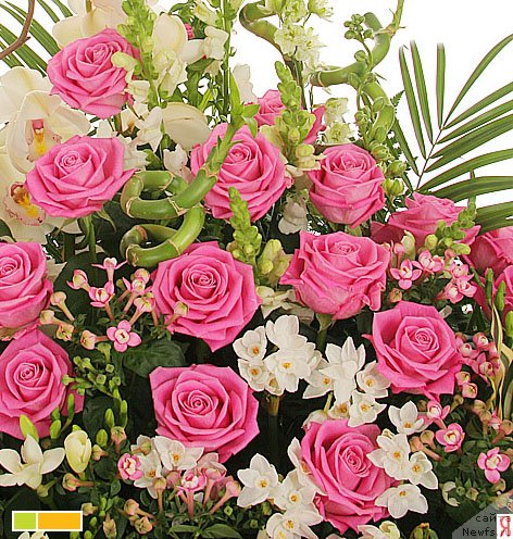 Фотография № 72000