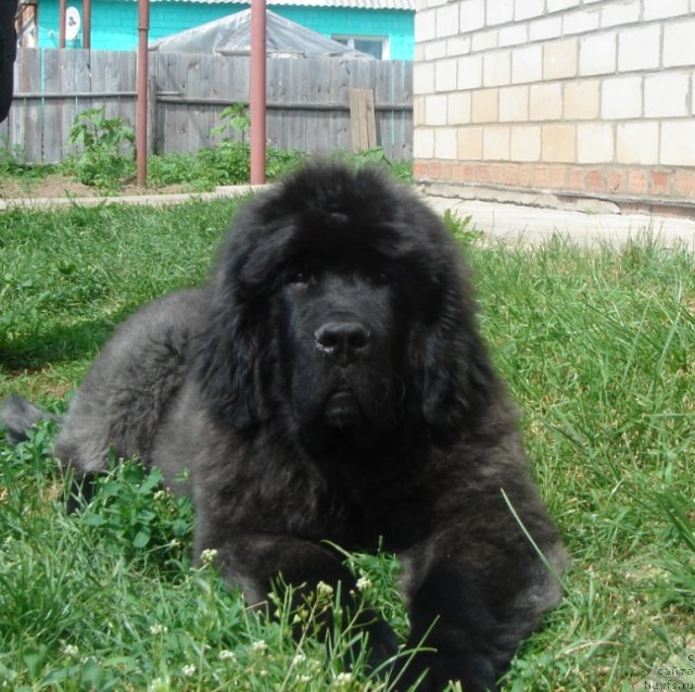 Фотография № 72015