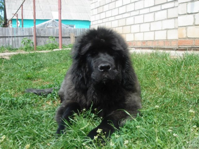 Фотография № 72017