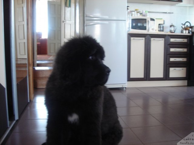 Фотография № 72018