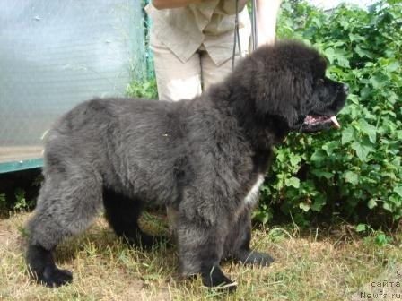 Фотография № 72019