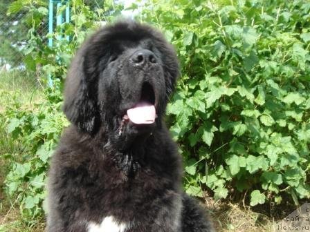 Фотография № 72021