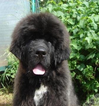 Фотография № 72022