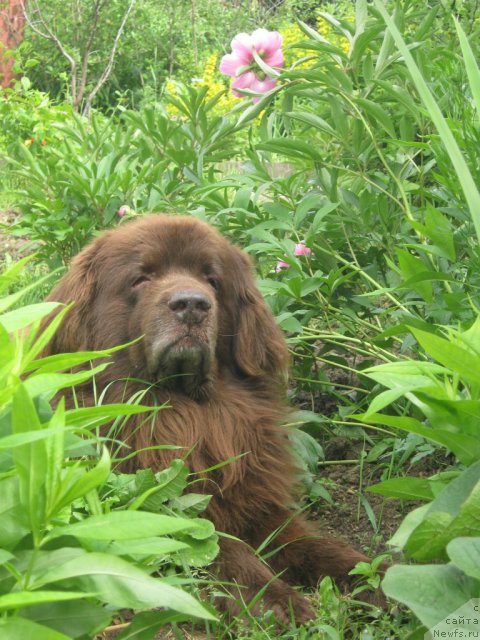 Фотография № 72043