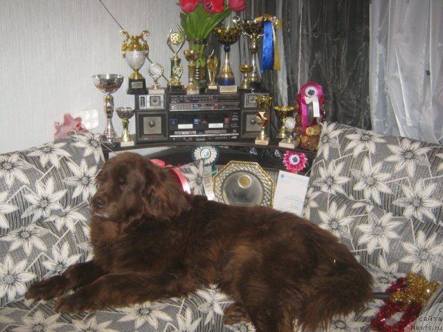 Фотография № 72044