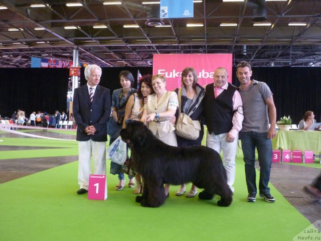 Фотография № 72132