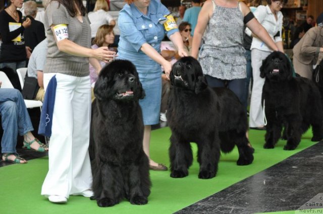 Фотография № 72133