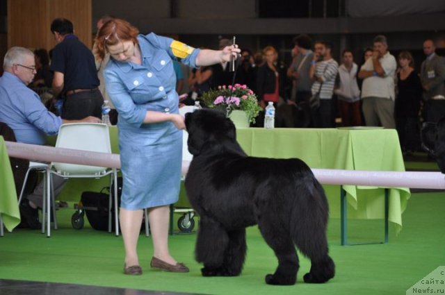 Фотография № 72134