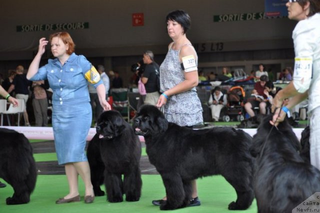 Фотография № 72139