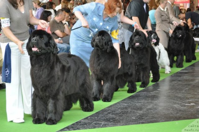 Фотография № 72140