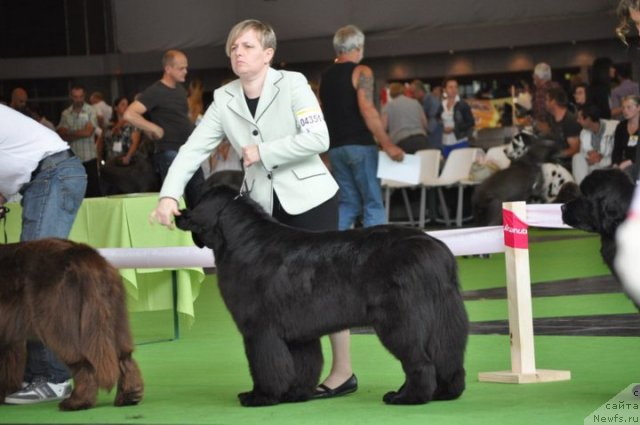 Фото: Show Must Go On de Anmalamual