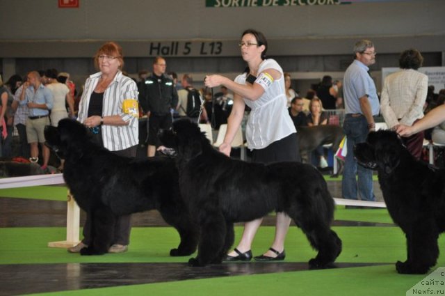 Фотография № 72148