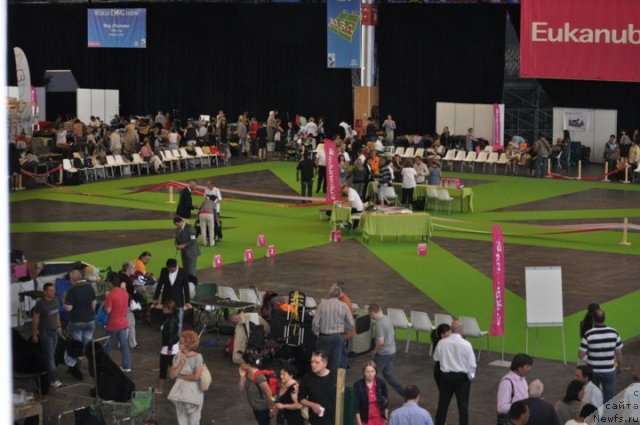 Фотография № 72155