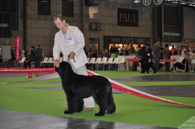 Фотография № 72156