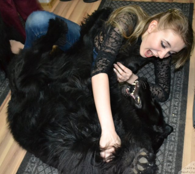 Фотография № 72375