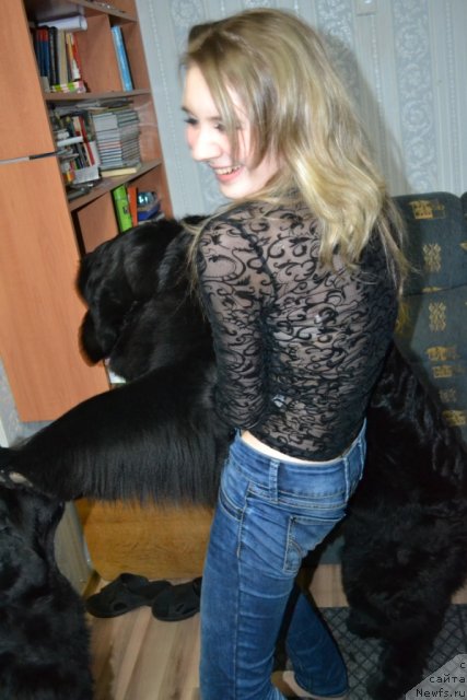 Фотография № 72376