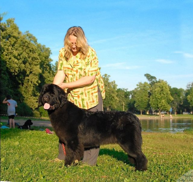 Фото: ньюфаундленд Центр Мироздания из Аркаима (Tsentr Mirozdaniya iz Arkaima)