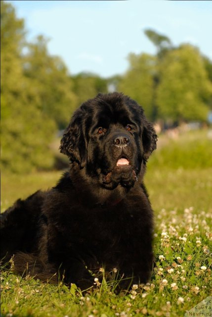 Фотография № 72407