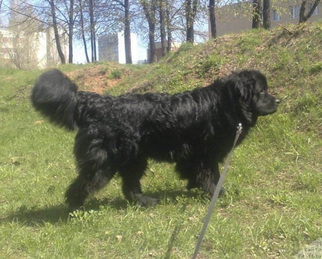 Фотография № 72524