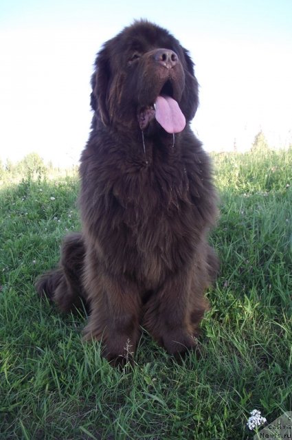 Фотография № 72587