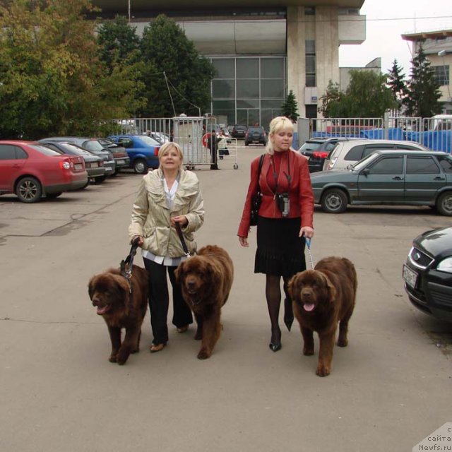 Фотография № 72592