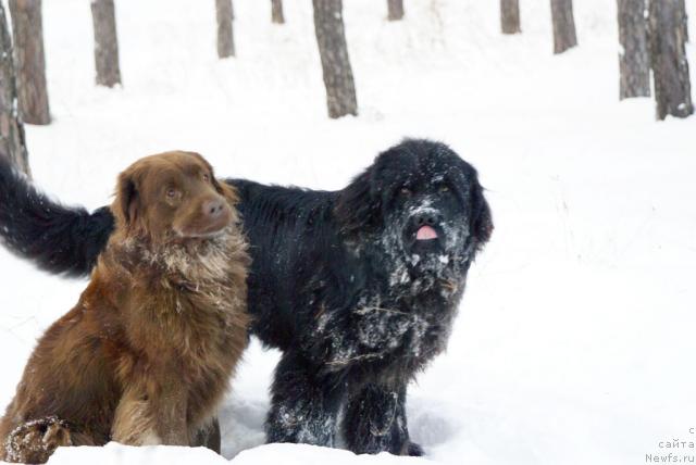 Фотография № 7267