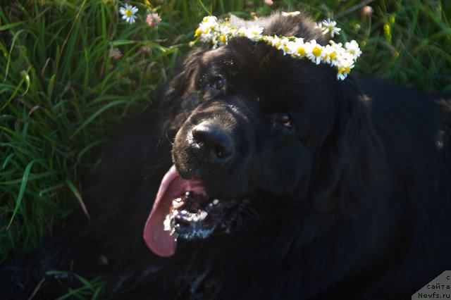 Фотография № 72699