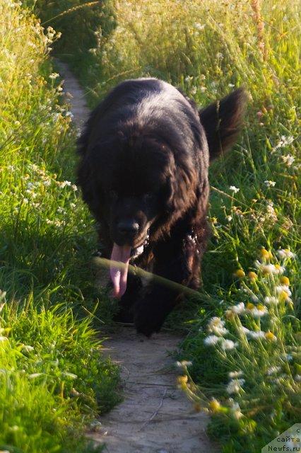 Фотография № 72700