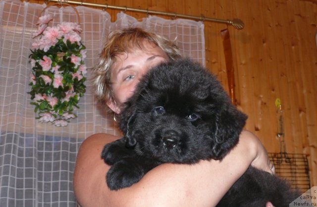 Фото: Светлана Артёмова