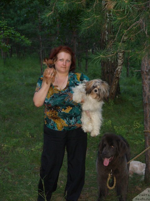 Фото: ньюфаундленд Аквамариновая Красотка для Марлеон, Татьяна Шайдук