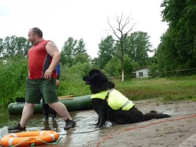 Фотография № 72845