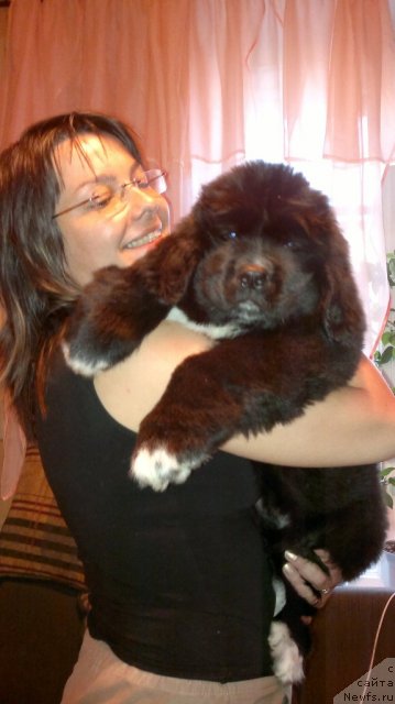 Фото: Елена Цыпленкова