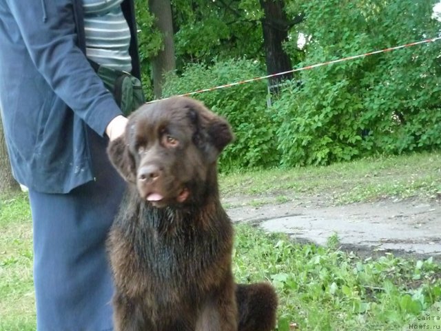 Фотография № 72855