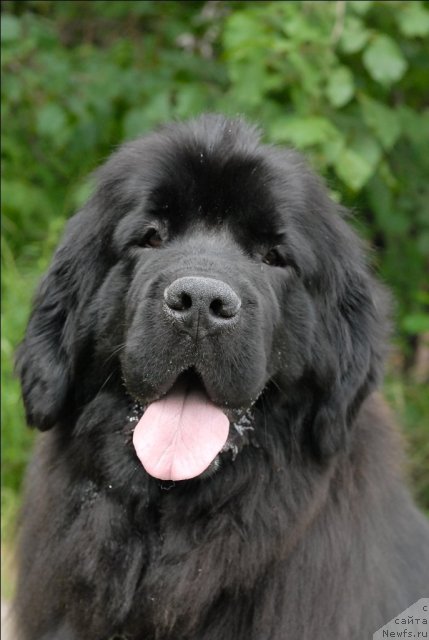 Фотография № 72865