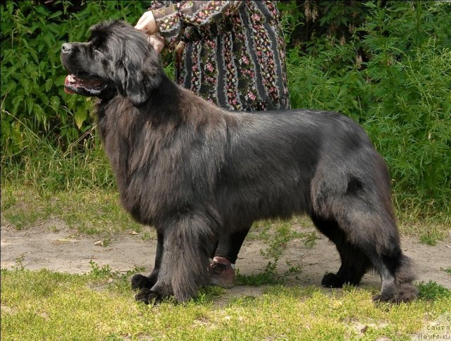 Фотография № 72870