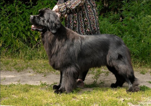 Фотография № 72871