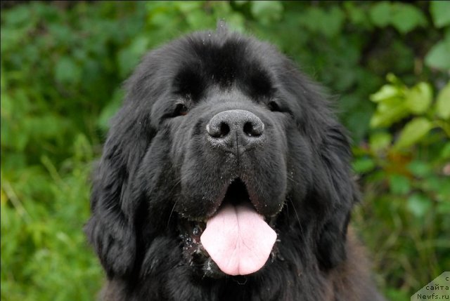 Фотография № 72879