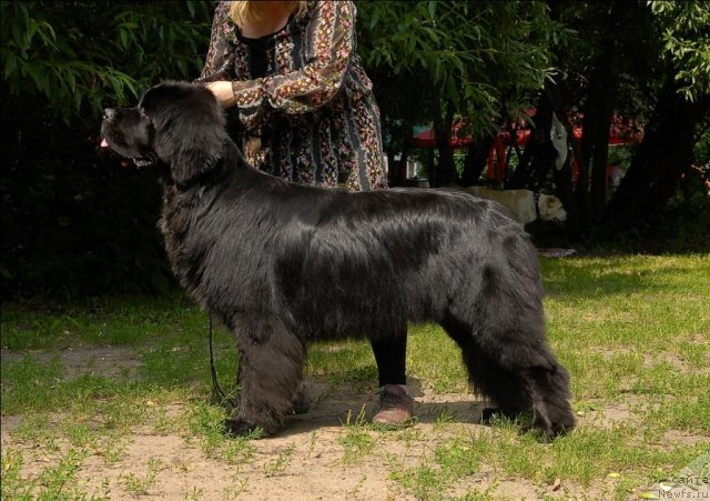 Фотография № 72886